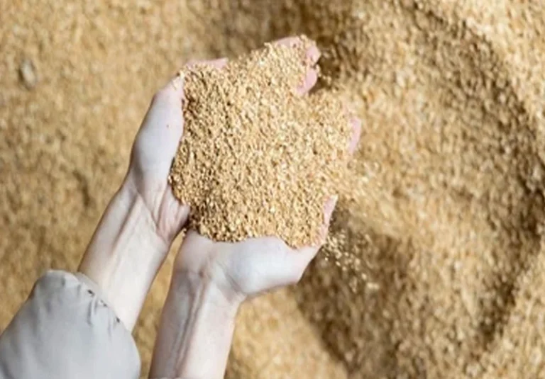 Comprehensive guide to buying a livestock feed bag filling machine