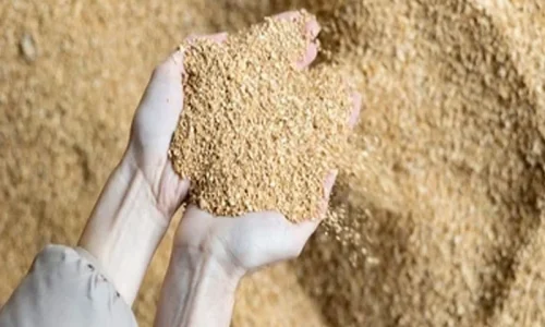 Comprehensive guide to buying a livestock feed bag filling machine