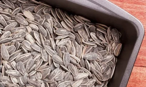 Seed Bag Filling Machine A Solution for Different Flavors